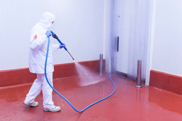 Best Paint Preparation  in Bolivar, WV